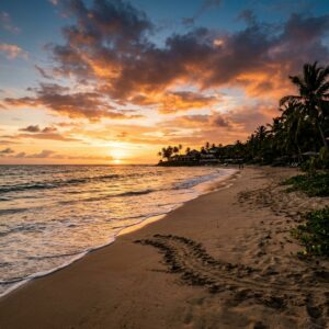 Spiaggia tropicale a Tobago al tramonto con tracce di tartarughe marine e un resort in lontananza